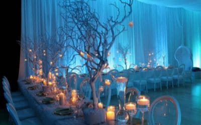 Voluptate velit esse cillum dolore